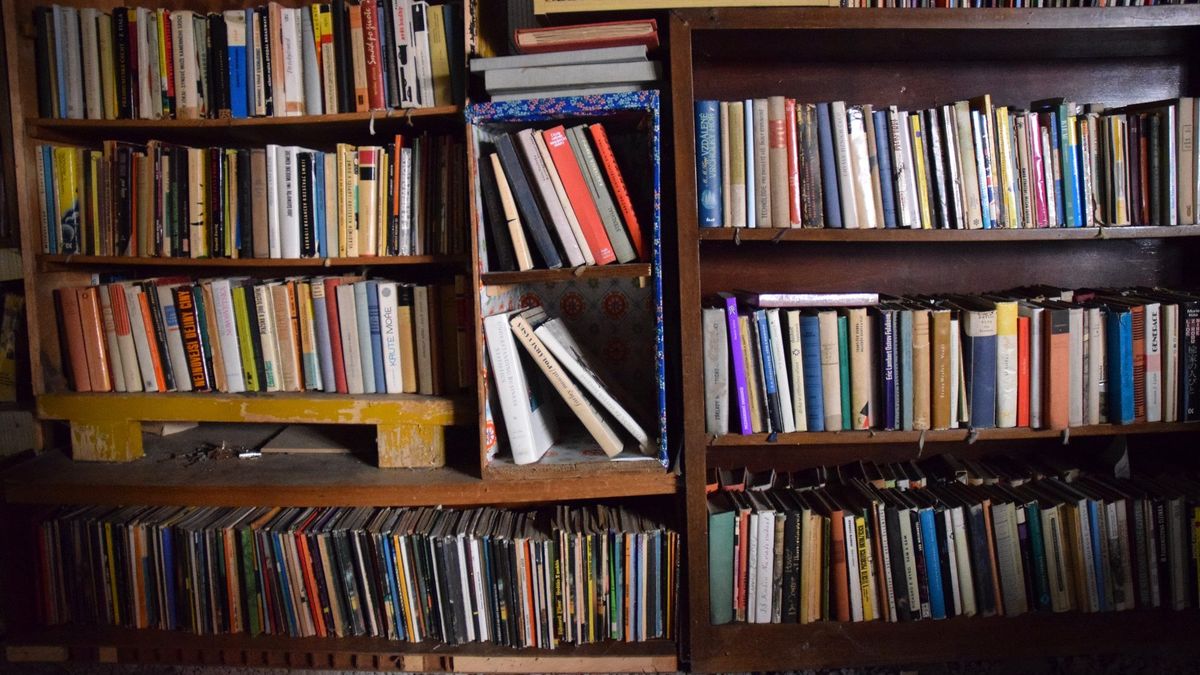 Antikvariát Knihobot zaznamenal meziročně růst obratu 140 procent